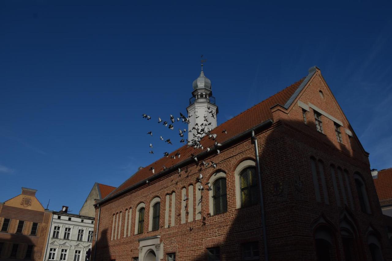 Copernicus Prestige Leilighet Olsztyn  Eksteriør bilde